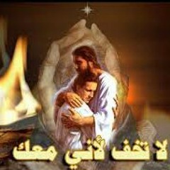 Amany Awny