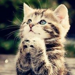 Fatima Zohra Ezzouine