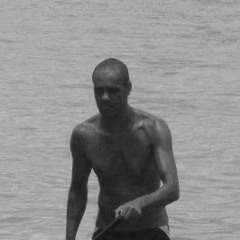 Jose Luis F Pereira