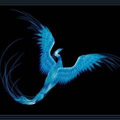 Ice Bird