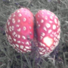 The Inner Earth Shire