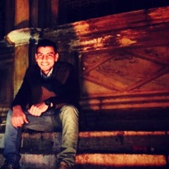 Ahmed s.Diab