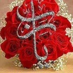 جيهان الخولي