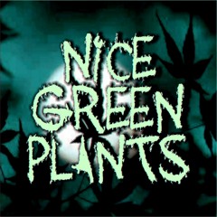 Nice Green Plants