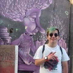 Diego Villarroel Araya