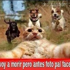 Joel Tarazona Alcalá