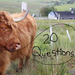 20 Questions