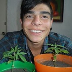 Alejandro Alfonso Garcia