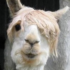 Stellar Llama