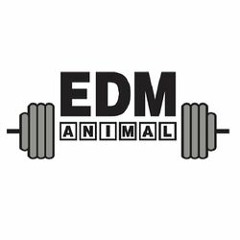 EDM ANIMAL