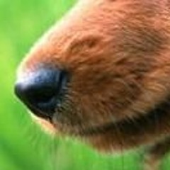まっしゅあっぷ