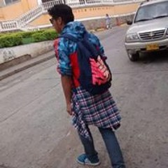 David Pardo