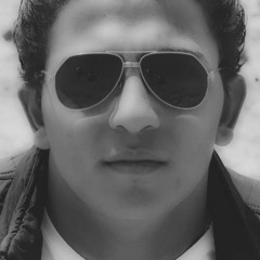 Mahmoud R. El-Asnaee