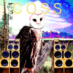 Clair-Obscur SoundSystème