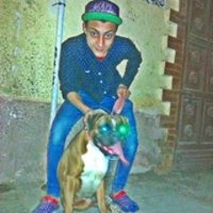 Aly Ahmed Eid