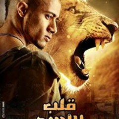 mostafa kamel