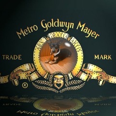 Magicmaik