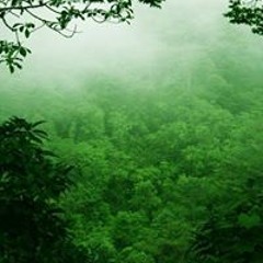 Hanom Lavgan