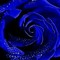 #eternities(-*-)