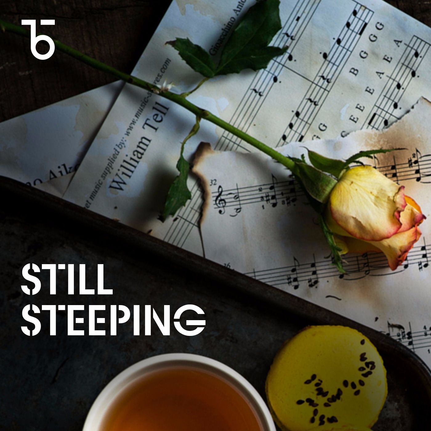 Still Steeping by Teabox