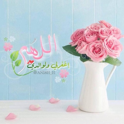 يارفيق الدرب ~ انشاد سمير البشيري