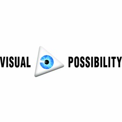 Visual Possibility