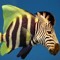FlyingZebraFish
