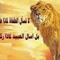 ابوشذي ال رضوان