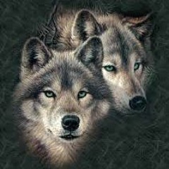 Wolfgoddesses7&9