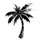 Palm Tree Groove