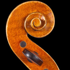 Violino Didático
