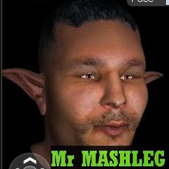 Mr MASHLEG 4