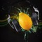 DJLemon House Mixes