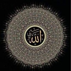 user605159536