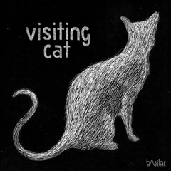 Visiting Cat