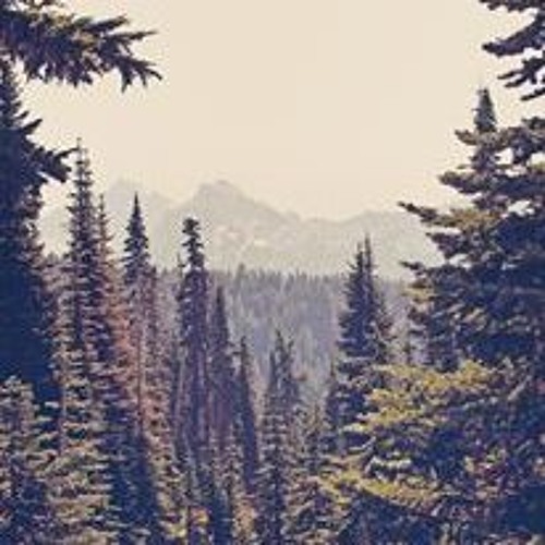 Barac - Sunt - Aici (ti-am spus)