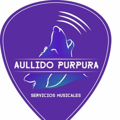 Backing track para guitarra y voz, cover S. Stereo - Canción animal