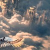 Torn Hawk