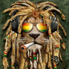 Selekta Di Lion'