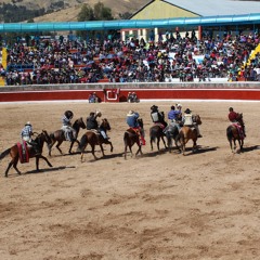 Eloy Huamani Sencia