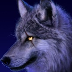 Wolfer_ The Wolf