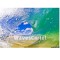 WavesCartel