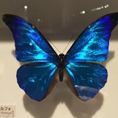 Haruya Takasaki