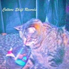 Culture Shift Records