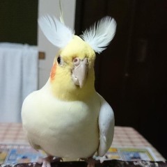 asidron