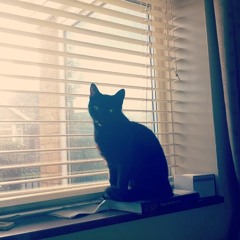 White Marble Statues