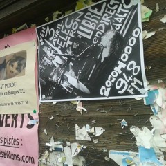 Electron Libre sur Alto