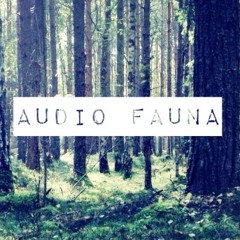Audio Fauna