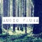 Audio Fauna