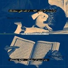 Mohamed A Ghanem